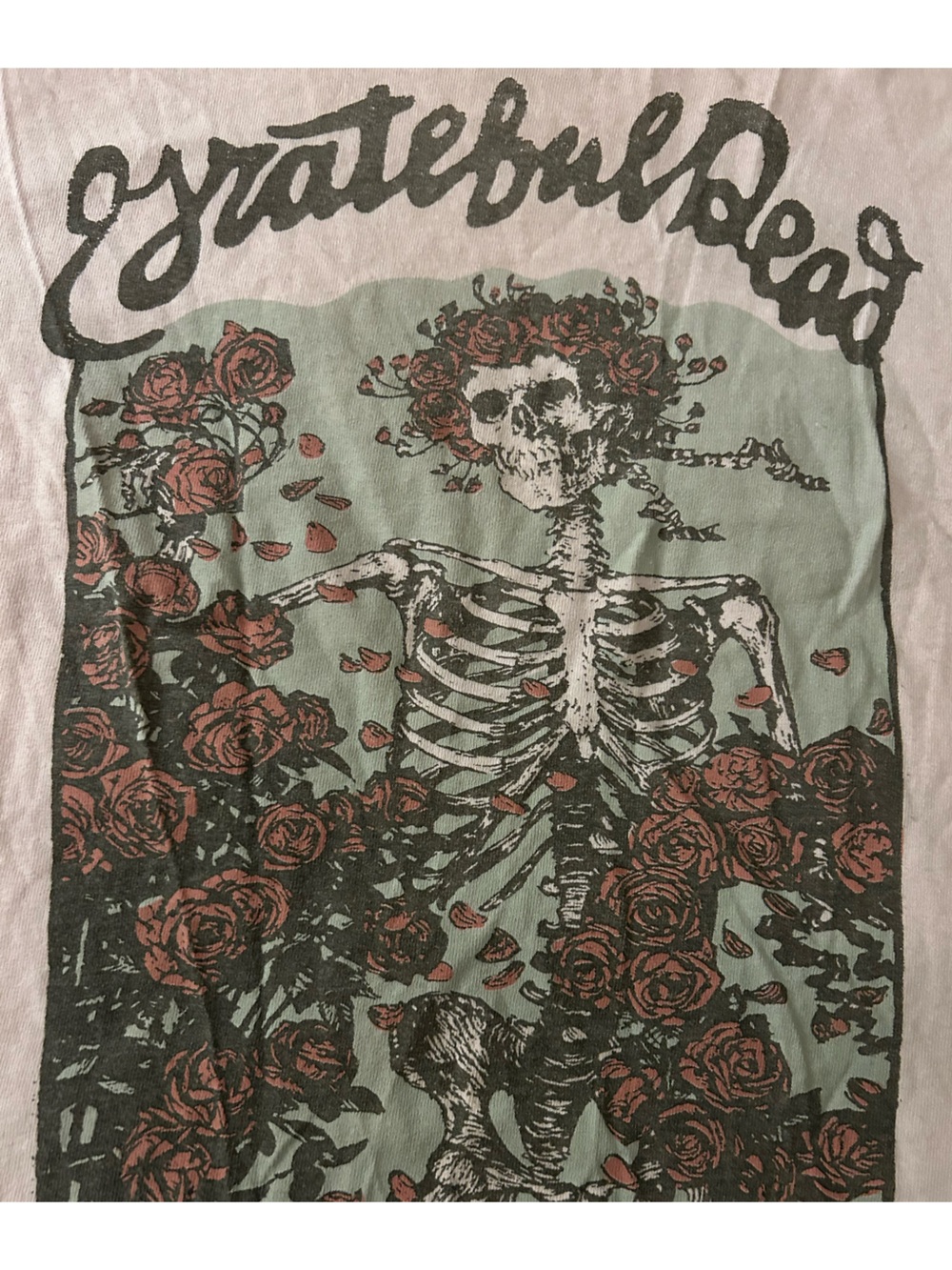 Junk Food Clothing Pink Grateful Dead Skeleton & Roses Tee